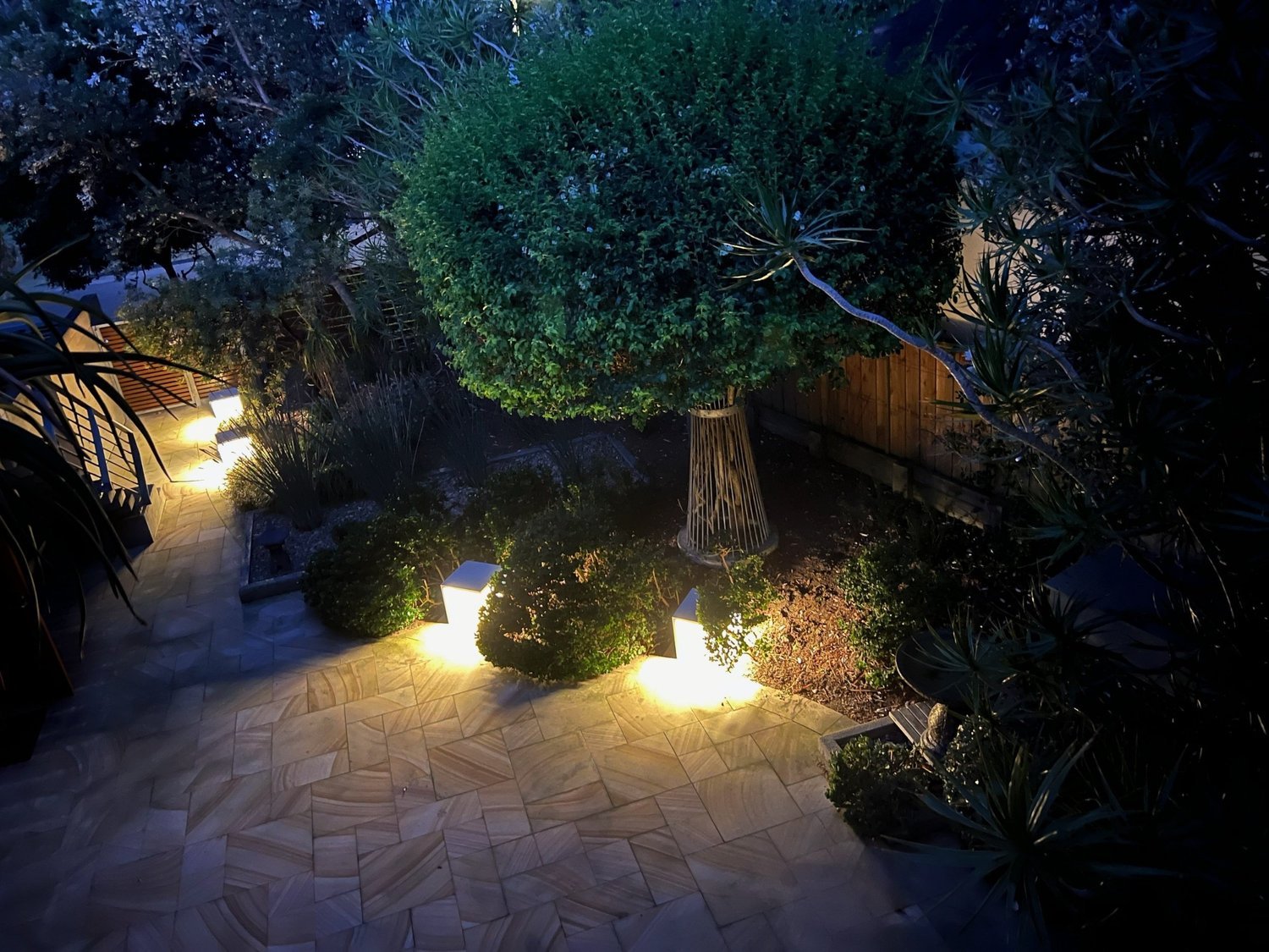 A garden path illuminated with warm landscape lights at night
